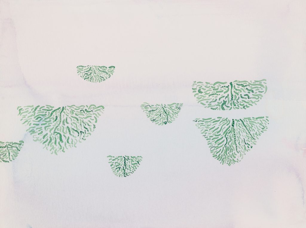 Canopy
